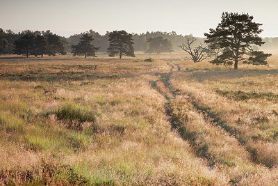 BUITEN BEELD Foto: 378912