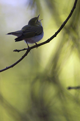 BUITEN BEELD Foto: 37032