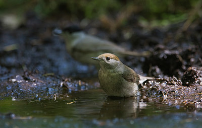 BUITEN BEELD Foto: 37067