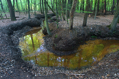 BUITEN BEELD Foto: 37068