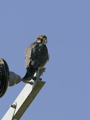 BUITEN BEELD Foto: 37104