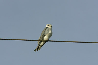 BUITEN BEELD Foto: 37114