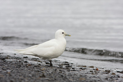 BUITEN BEELD Foto: 37195