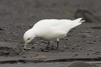 BUITEN BEELD Foto: 37197