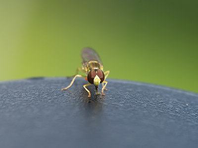 BUITEN BEELD Foto: 37207