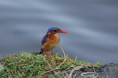 BUITEN BEELD Foto: 37241