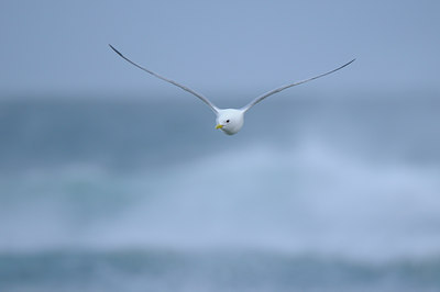 BUITEN BEELD Foto: 37263