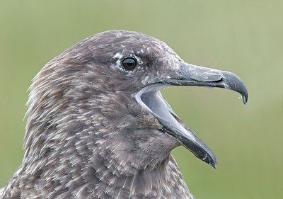 BUITEN BEELD Foto: 37265
