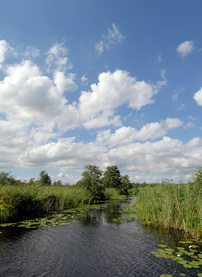 BUITEN BEELD Foto: 37306