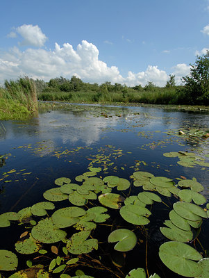 BUITEN BEELD Foto: 37307