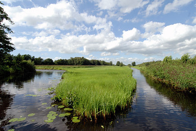 BUITEN BEELD Foto: 37312