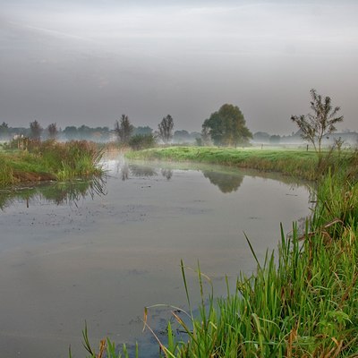 BUITEN BEELD Foto: 37381