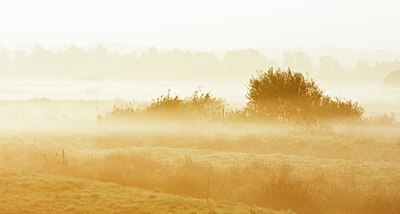 BUITEN BEELD Foto: 37384