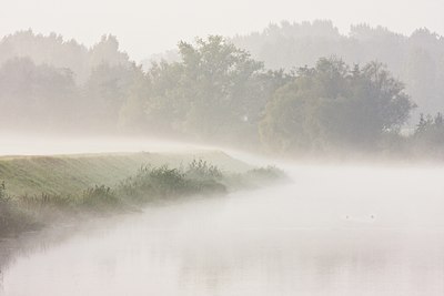 BUITEN BEELD Foto: 37386