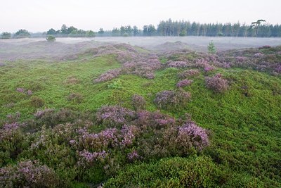 BUITEN BEELD Foto: 37396