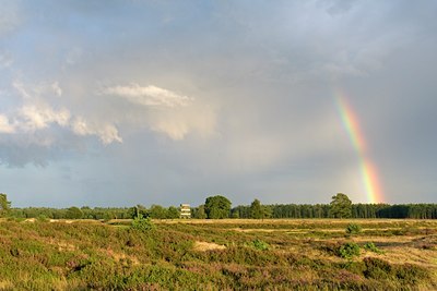 BUITEN BEELD Foto: 37425