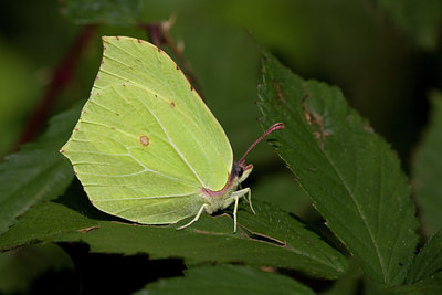 BUITEN BEELD Foto: 37440