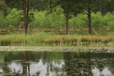 BUITEN BEELD Foto: 37451