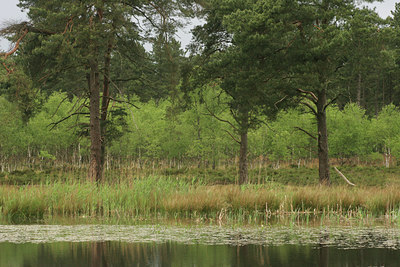 BUITEN BEELD Foto: 37452