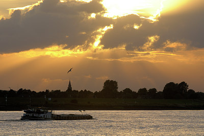 BUITEN BEELD Foto: 37464