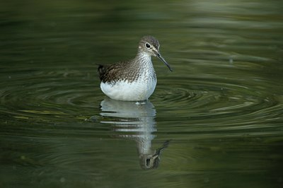 BUITEN BEELD Foto: 37480