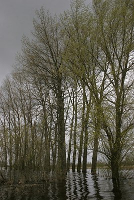 BUITEN BEELD Foto: 37507