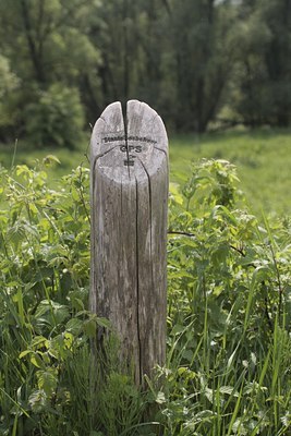 BUITEN BEELD Foto: 37511