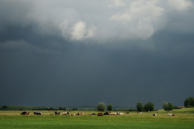 BUITEN BEELD Foto: 37532