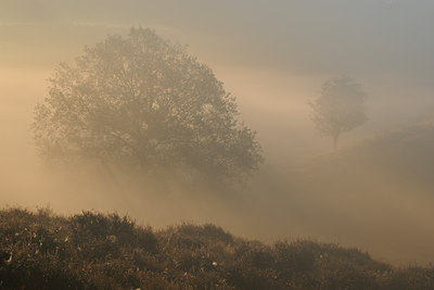 BUITEN BEELD Foto: 37549