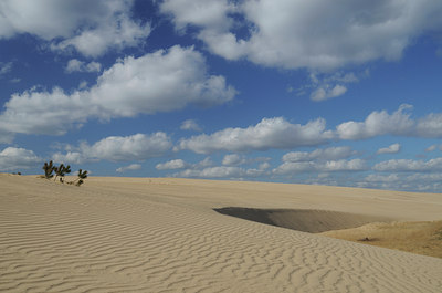 BUITEN BEELD Foto: 37566