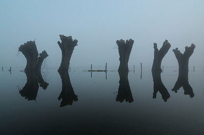 BUITEN BEELD Foto: 37568