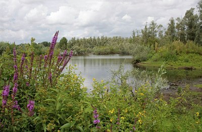 BUITEN BEELD Foto: 37596
