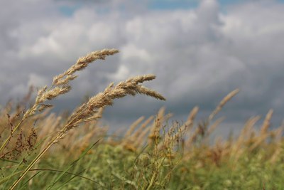 BUITEN BEELD Foto: 37601
