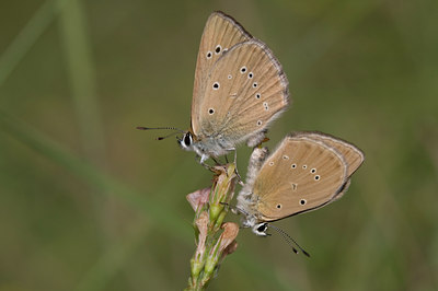 BUITEN BEELD Foto: 37619