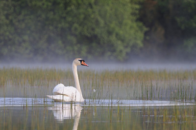 BUITEN BEELD Foto: 37677