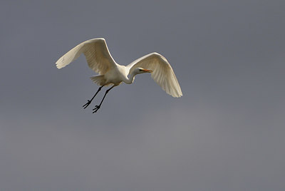 BUITEN BEELD Foto: 37684