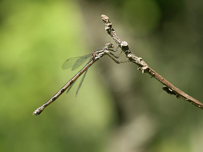 BUITEN BEELD Foto: 37727