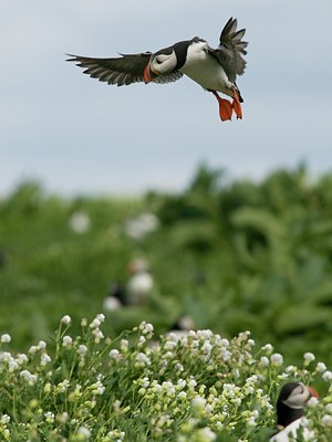 BUITEN BEELD Foto: 37754