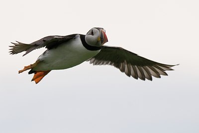 BUITEN BEELD Foto: 37766