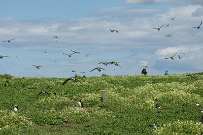 BUITEN BEELD Foto: 37771