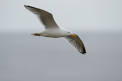BUITEN BEELD Foto: 37909