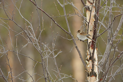 BUITEN BEELD Foto: 37940