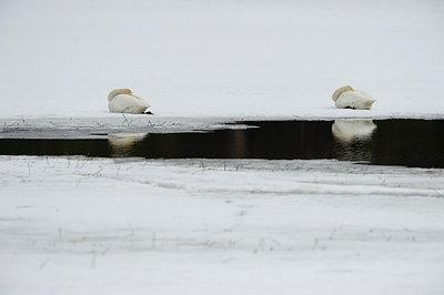 BUITEN BEELD Foto: 37954