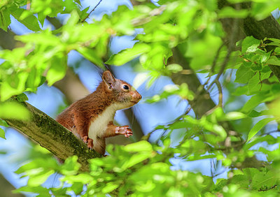 BUITEN BEELD Foto: 379359