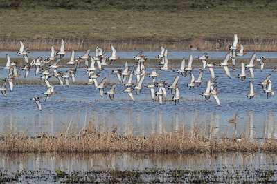 BUITEN BEELD Foto: 379432