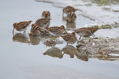 BUITEN BEELD Foto: 379434