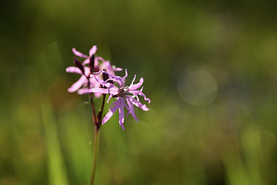 BUITEN BEELD Foto: 379969