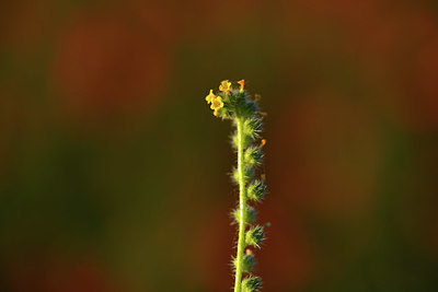 BUITEN BEELD Foto: 380037