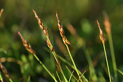 BUITEN BEELD Foto: 380048