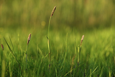 BUITEN BEELD Foto: 380050